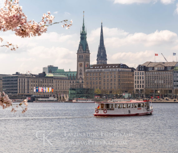 Hamburg - Binnenalster - unter der Lombardsbrücke zur Kirschblüte