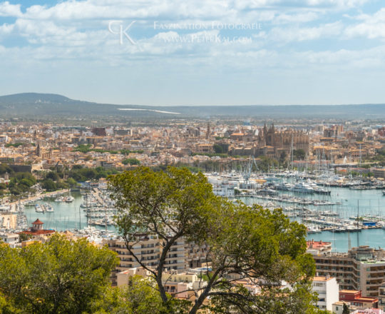 Mallorca – Palma de Mallorca - Blick von „Castell de Bellver