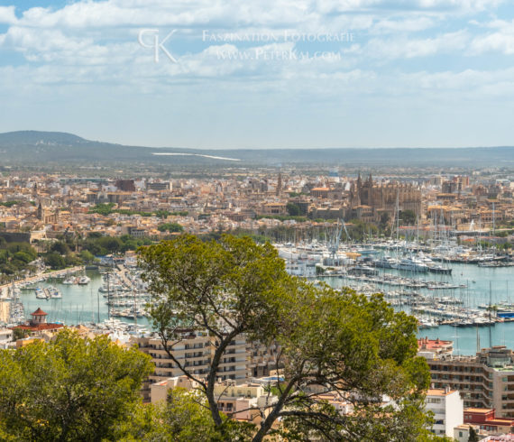 Mallorca – Palma de Mallorca - Blick von „Castell de Bellver